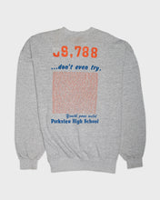 Load image into Gallery viewer, Grey High School Football '90s Panthers Sweatshirt