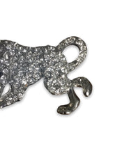 Load image into Gallery viewer, Silver tiger white crystal brooch