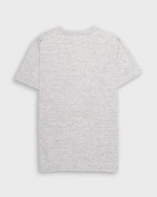 Load image into Gallery viewer, Grey Champion crew neck t-shirt
