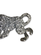 Load image into Gallery viewer, Silver tiger white crystal brooch
